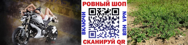 Продажа наркотиков Томари АМФ  Alpha-PVP  ГАШ  Кокаин 