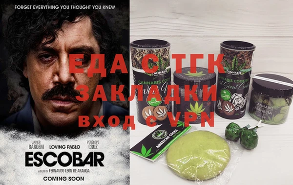 шишки Абаза