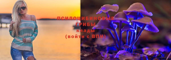 шишки Абаза
