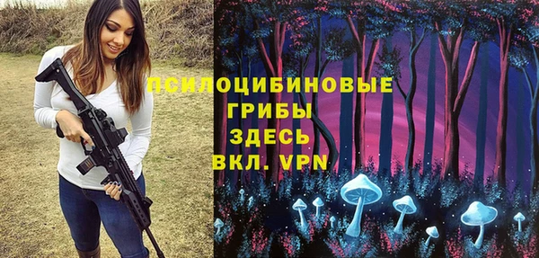хмурый Абинск