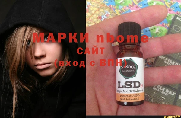 шишки Абаза