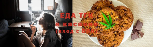 шишки Абаза