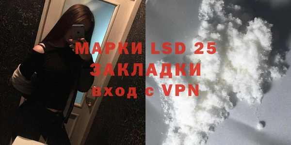 шишки Абаза