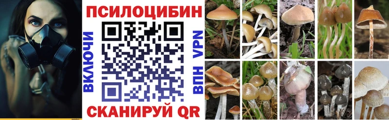 Галлюциногенные грибы мицелий  Томари 
